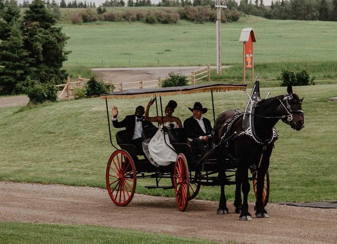 Horse drawn carriage wedding 