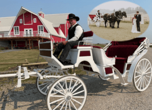 Horse Drawn Carriage with Couple